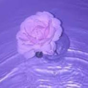 Meet your Posher, Allyson